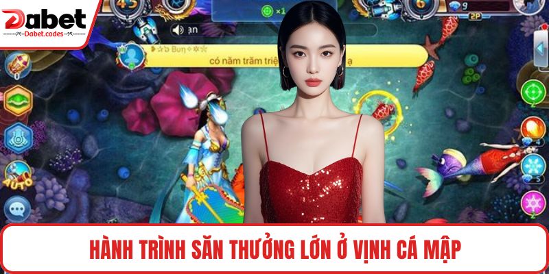 Hành trình săn thưởng lớn ở Vịnh Cá Mập